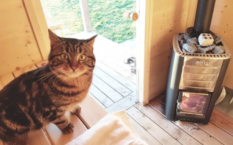 Tiny Sauna et le chat